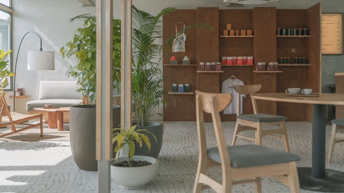 Seating area with plants and rattan chairs, Mumatpura, Ahmedabad